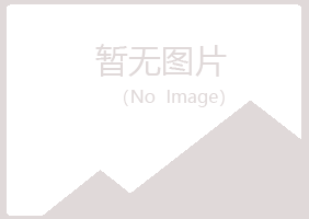 任城区夏岚金属有限公司